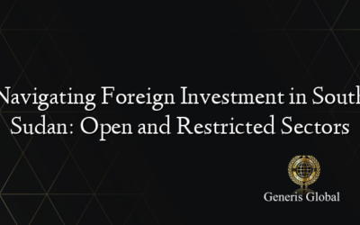 Navigating Foreign Investment in South Sudan: Open and Restricted Sectors