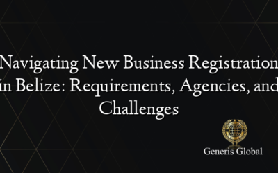 Navigating New Business Registration in Belize: Requirements, Agencies, and Challenges