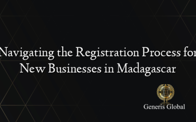 Navigating the Registration Process for New Businesses in Madagascar