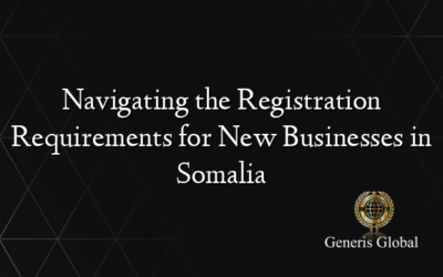 Navigating the Registration Requirements for New Businesses in Somalia