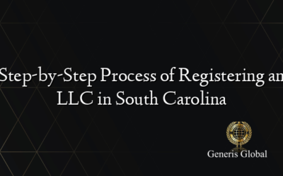 Step-by-Step Process of Registering an LLC in South Carolina