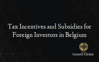 Tax Incentives and Subsidies for Foreign Investors in Belgium