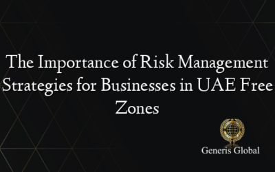 The Importance of Risk Management Strategies for Businesses in UAE Free Zones