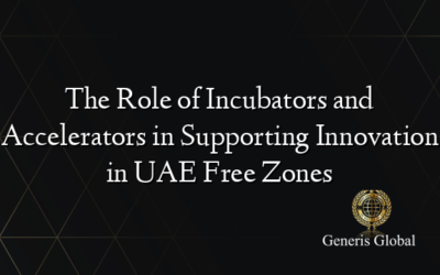 The Role of Incubators and Accelerators in Supporting Innovation in UAE Free Zones