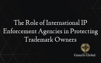 The Role of International IP Enforcement Agencies in Protecting Trademark Owners