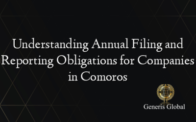 Understanding Annual Filing and Reporting Obligations for Companies in Comoros