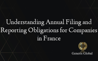 Understanding Annual Filing and Reporting Obligations for Companies in France