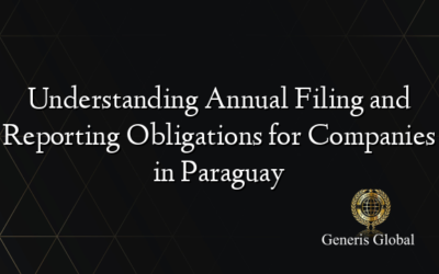 Understanding Annual Filing and Reporting Obligations for Companies in Paraguay