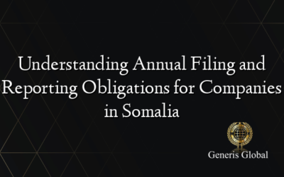 Understanding Annual Filing and Reporting Obligations for Companies in Somalia