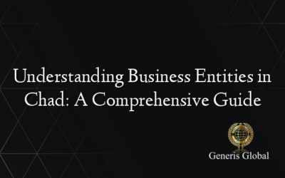 Understanding Business Entities in Chad: A Comprehensive Guide