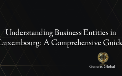 Understanding Business Entities in Luxembourg: A Comprehensive Guide