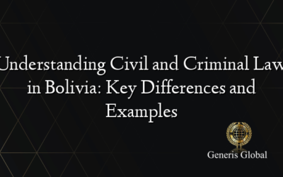 Understanding Civil and Criminal Law in Bolivia: Key Differences and Examples