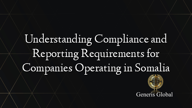 Understanding Compliance and Reporting Requirements for Companies Operating in Somalia