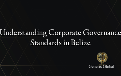 Understanding Corporate Governance Standards in Belize