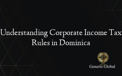 Understanding Corporate Income Tax Rules in Dominica