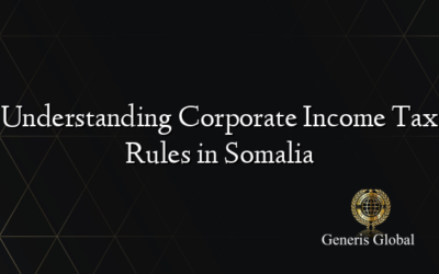 Understanding Corporate Income Tax Rules in Somalia