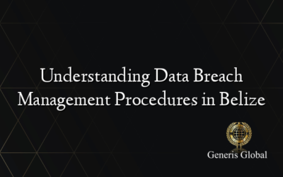 Understanding Data Breach Management Procedures in Belize