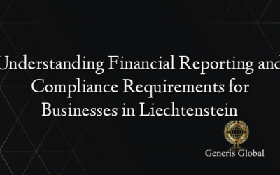 Understanding Financial Reporting and Compliance Requirements for Businesses in Liechtenstein