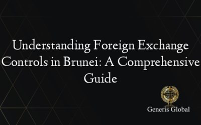 Understanding Foreign Exchange Controls in Brunei: A Comprehensive Guide