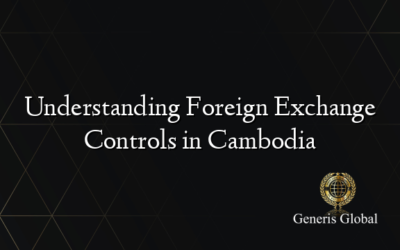 Understanding Foreign Exchange Controls in Cambodia