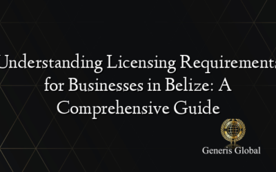 Understanding Licensing Requirements for Businesses in Belize: A Comprehensive Guide