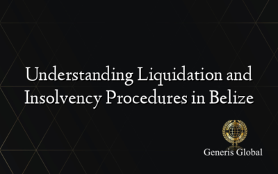 Understanding Liquidation and Insolvency Procedures in Belize