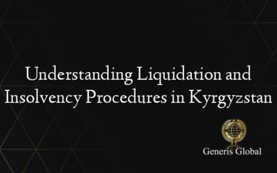 Understanding Liquidation and Insolvency Procedures in Kyrgyzstan