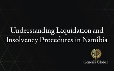 Understanding Liquidation and Insolvency Procedures in Namibia