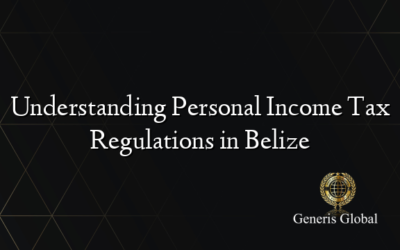 Understanding Personal Income Tax Regulations in Belize