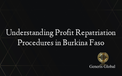 Understanding Profit Repatriation Procedures in Burkina Faso