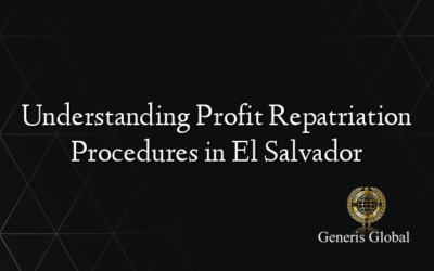 Understanding Profit Repatriation Procedures in El Salvador