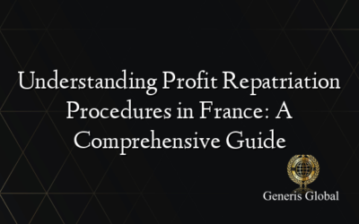 Understanding Profit Repatriation Procedures in France: A Comprehensive Guide