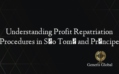 Understanding Profit Repatriation Procedures in São Tomé and Príncipe