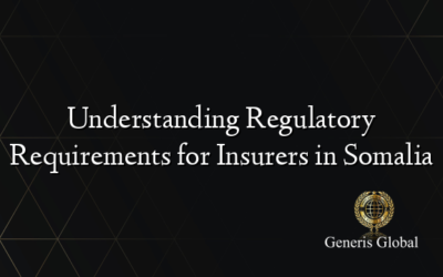 Understanding Regulatory Requirements for Insurers in Somalia