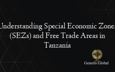 Understanding Special Economic Zones (SEZs) and Free Trade Areas in Tanzania