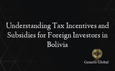 Understanding Tax Incentives and Subsidies for Foreign Investors in Bolivia