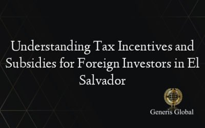 Understanding Tax Incentives and Subsidies for Foreign Investors in El Salvador