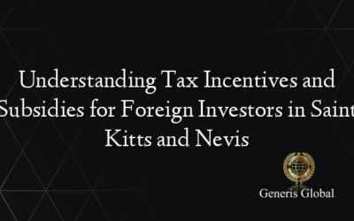 Understanding Tax Incentives and Subsidies for Foreign Investors in Saint Kitts and Nevis