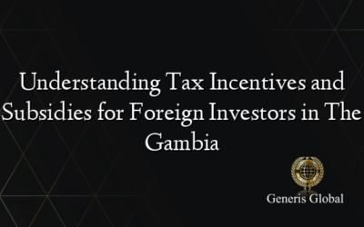 Understanding Tax Incentives and Subsidies for Foreign Investors in The Gambia