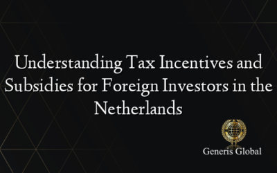 Understanding Tax Incentives and Subsidies for Foreign Investors in the Netherlands