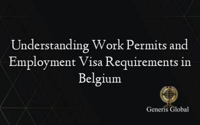 Understanding Work Permits and Employment Visa Requirements in Belgium