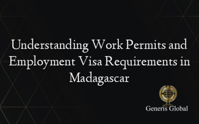 Understanding Work Permits and Employment Visa Requirements in Madagascar