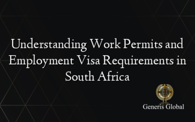 Understanding Work Permits and Employment Visa Requirements in South Africa