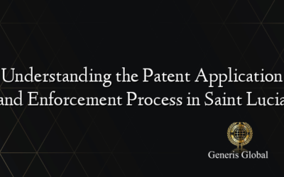 Understanding the Patent Application and Enforcement Process in Saint Lucia