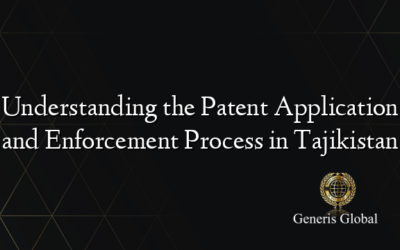 Understanding the Patent Application and Enforcement Process in Tajikistan