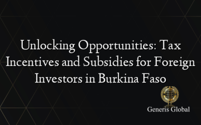 Unlocking Opportunities: Tax Incentives and Subsidies for Foreign Investors in Burkina Faso