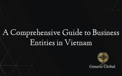 A Comprehensive Guide to Business Entities in Vietnam