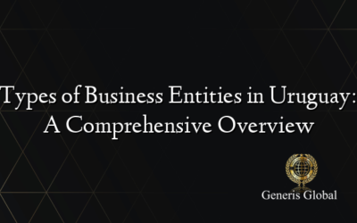 Types of Business Entities in Uruguay: A Comprehensive Overview