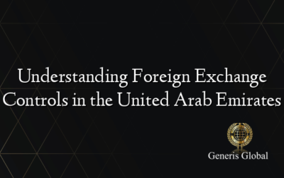 Understanding Foreign Exchange Controls in the United Arab Emirates