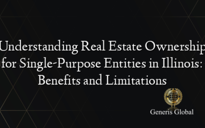 Understanding Real Estate Ownership for Single-Purpose Entities in Illinois: Benefits and Limitations